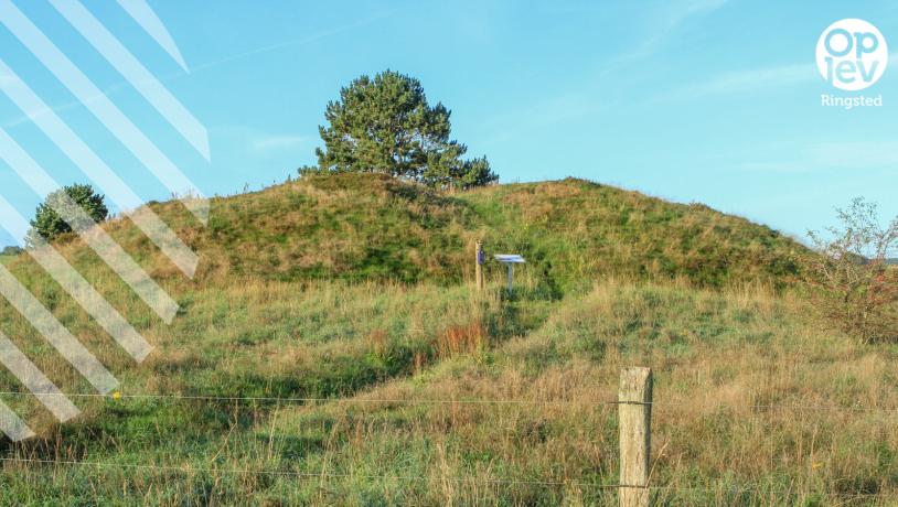 Cykelrute 1 Ringsted